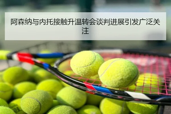 阿森纳与内托接触升温转会谈判进展引发广泛关注